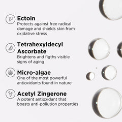 Daily Prevention Protect & Refresh Mist SPF 40